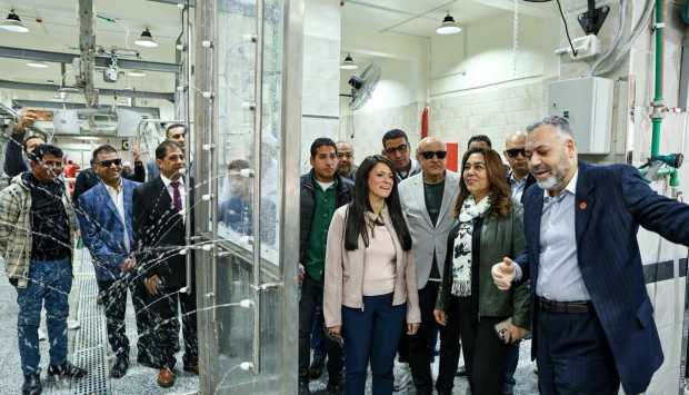 المشاط: تطوير الخدمات المرتبطة بالأمن الغذائي أحد المحاور المهمة للتنمية المحلية 