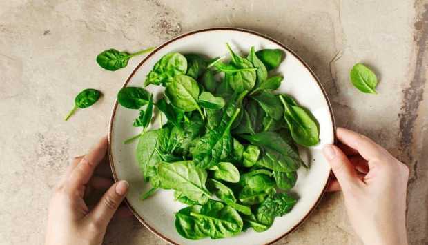 من الشوفان إلى البابونج.. أطعمة تضمن لك الاسترخاء 