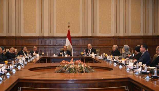 مجلس الشيوخ يستعرض إنجازات الملف الحقوقي المصري أمام وزير الخارجية 