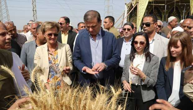 وزير الزراعة: نتعامل مع القمح باعتباره أمن قومي ونهدف لرفع الاكتفاء الذاتي بنسبة 70% 