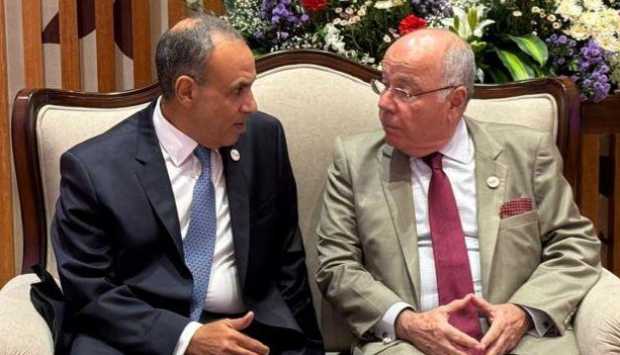 وزير الخارجية: تعزيز التجارة والاستثمار مع البرازيل «أولوية قصوى» للدولة المصرية 