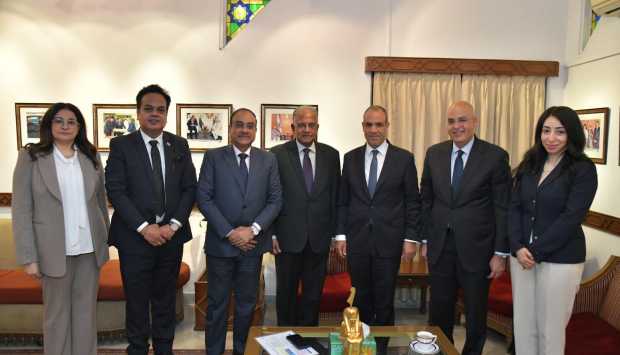 خلال لقاء وزير الخارجية.. ممثلو الشركات الهندية يثمنون بيئة الاستثمار في مصر 