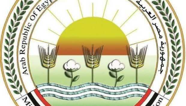 «الزراعة» تفتح باب الترشح لجوائز مركز البحوث الزراعية لعام 2026 (صور) 