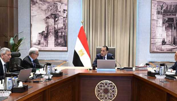 رئيس الوزراء: قطاع الدواء يحظى باهتمام كبير من الدولة المصرية 