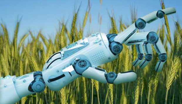 الروبوتات وأنظمة الري الذكية.. «AI» يحقق طفرة في الزراعة الحديثة 
