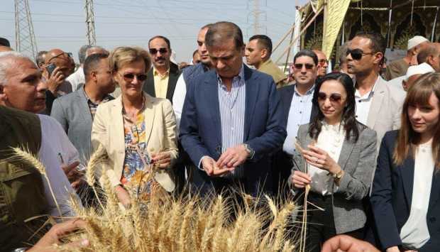 وزير الزراعة: مشروعات استصلاح الأراضي تقود طفرة غير مسبوقة في الأمن الغذائي 