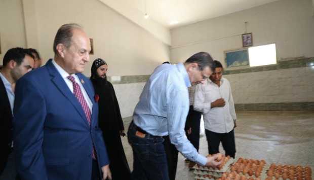 نمو غير مسبوق في الصادرات الزراعية المصرية.. 170 سوقًا عالميًا ونمو يتجاوز 300% 