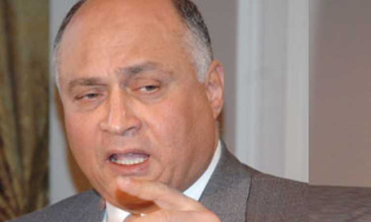 محمد إبراهيم سليمان