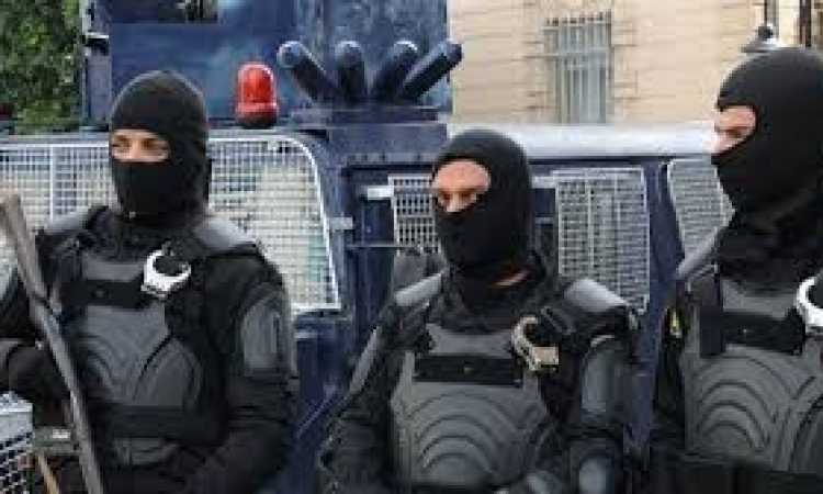 قوات التدخل السريع