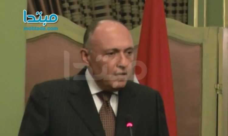  وزير الخارجية سامح شكرى