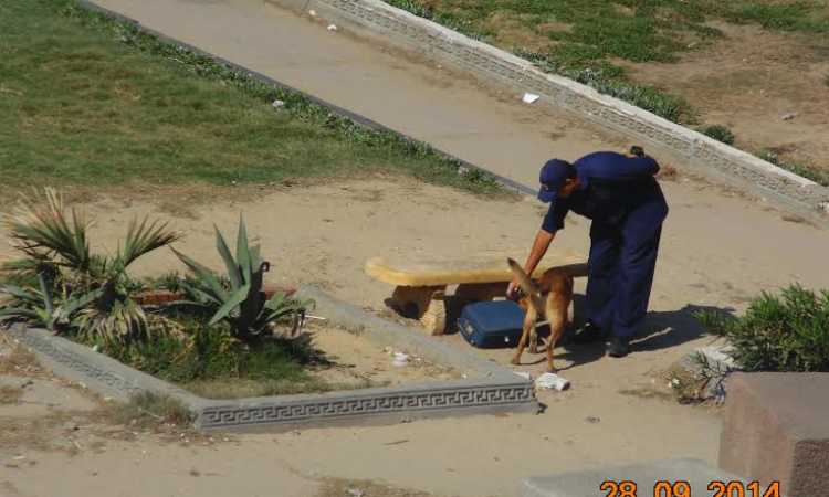 قنابل هيكلية بالإسكندرية