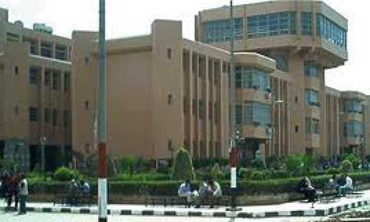 جامعة المنوفية