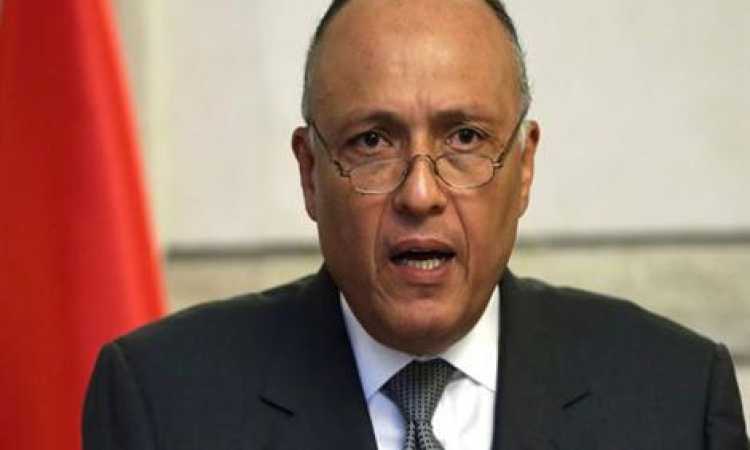 سامح شكرى