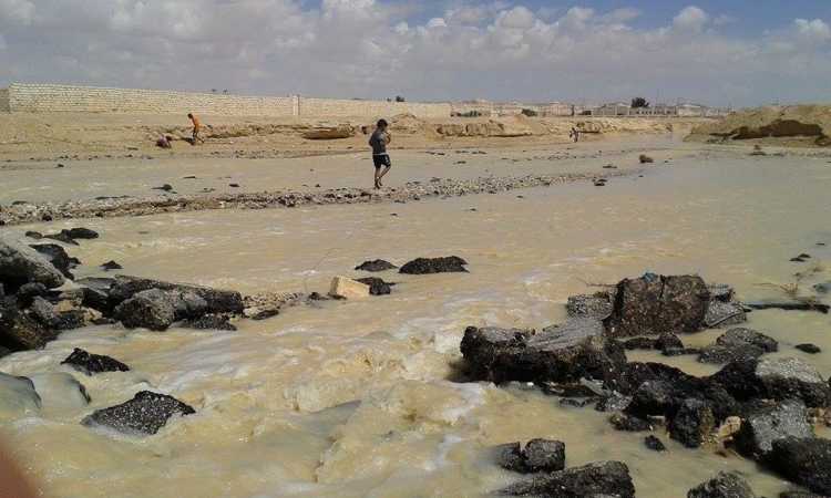 سيول وسط سيناء