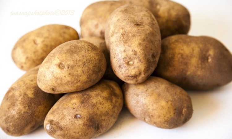 البطاطس