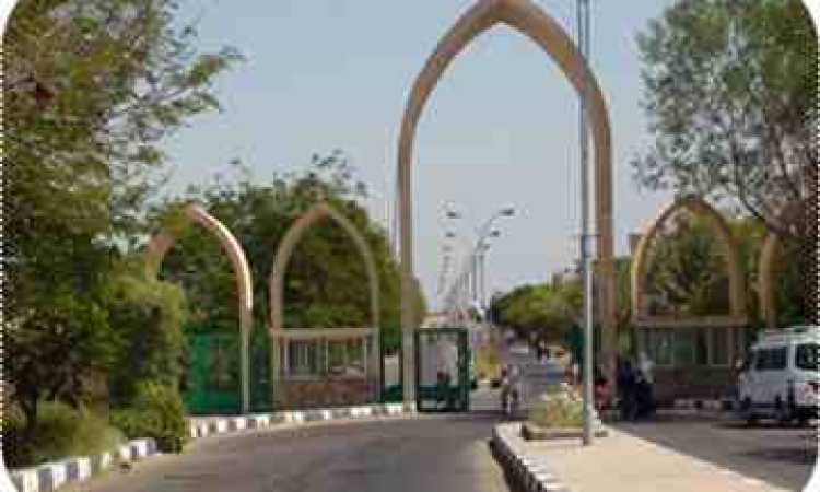 صورة جامعة أسوان 