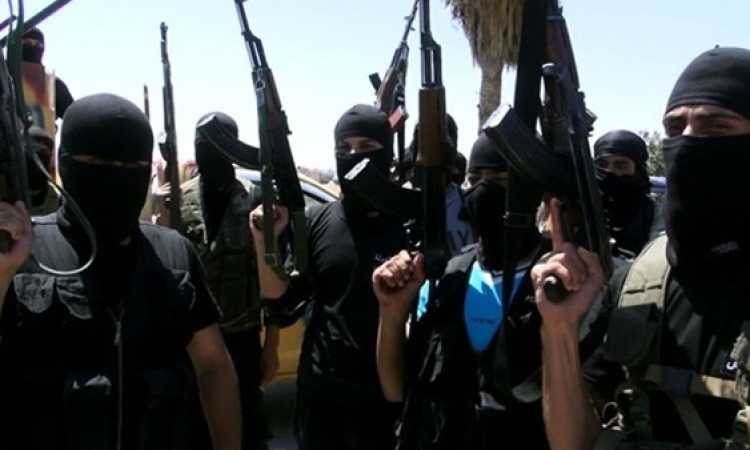 حركة العقاب الثورى - أرشيفية