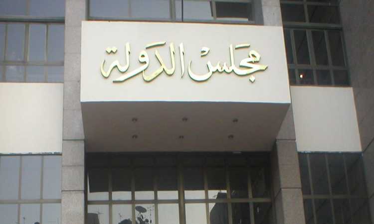 مجلس الدولة