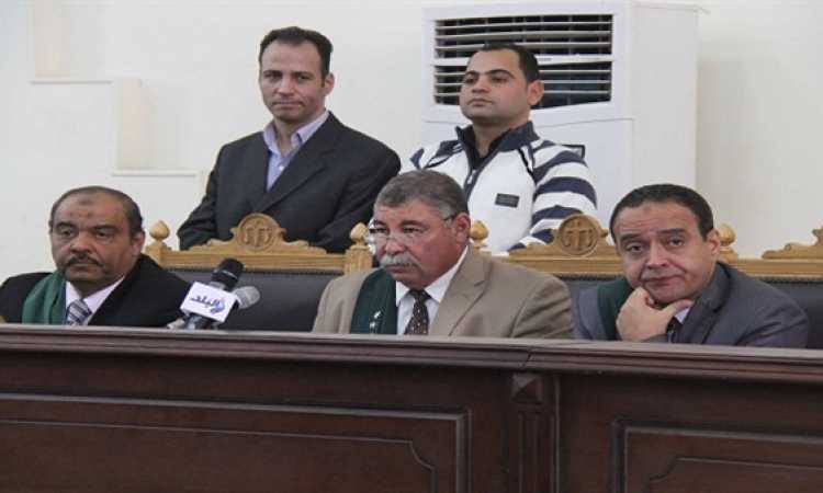 المستشار حسن فريد 