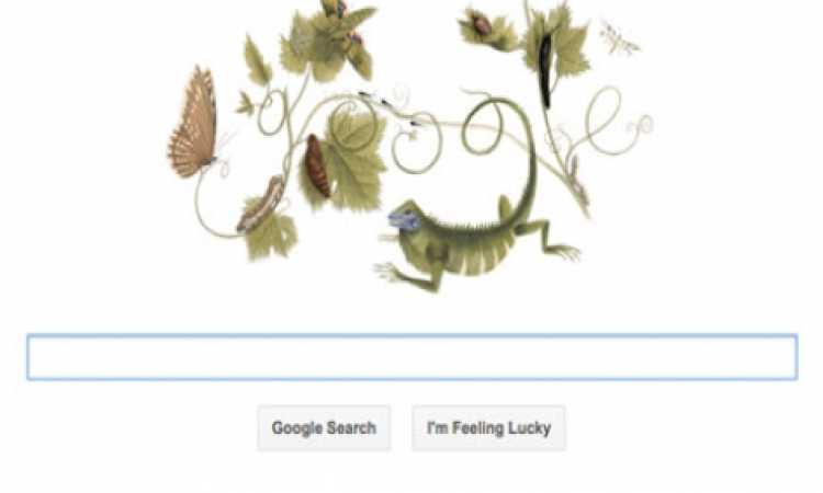 Maria-Sibylla-Merian-Goog-010