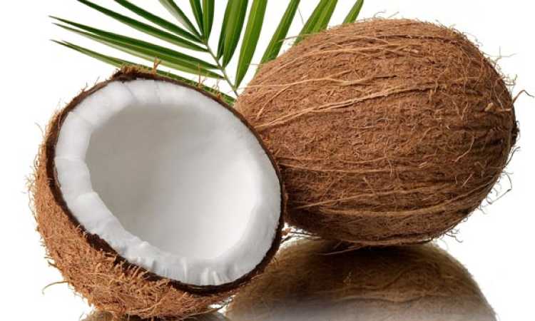 جوز الهند