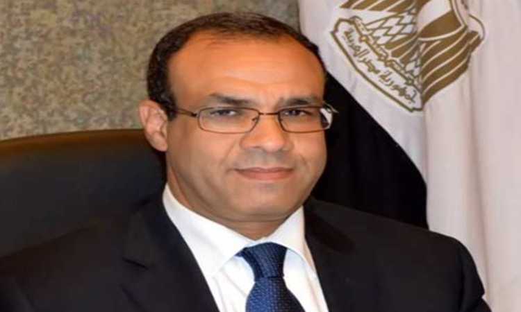 السفير بدر عبد العاطى