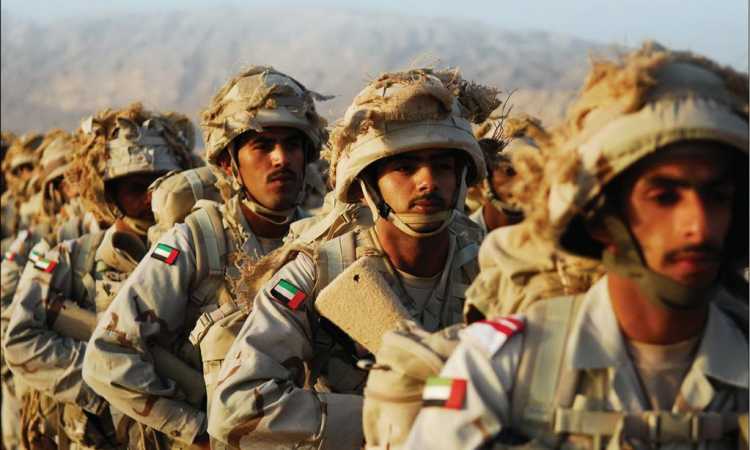 الجيش الإماراتى