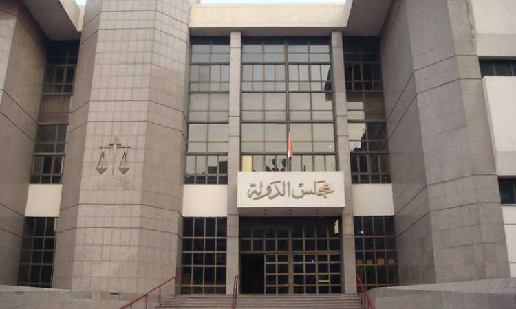 مجلس الدولة