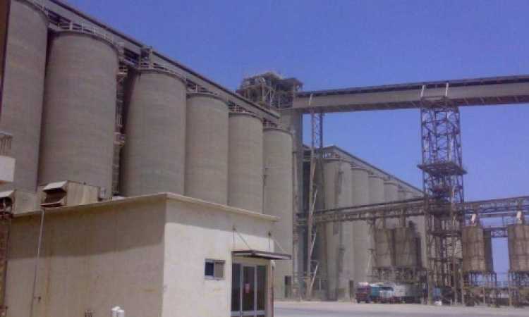 شركة مطاحن مصر العليا 
