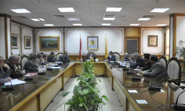 جامعة المنيا