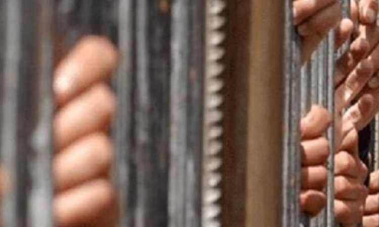 خلية إرهابية - أرشيفية