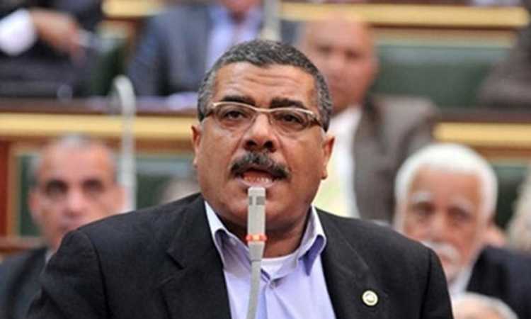 معتز محمد محمود - عضو مجلس النواب
