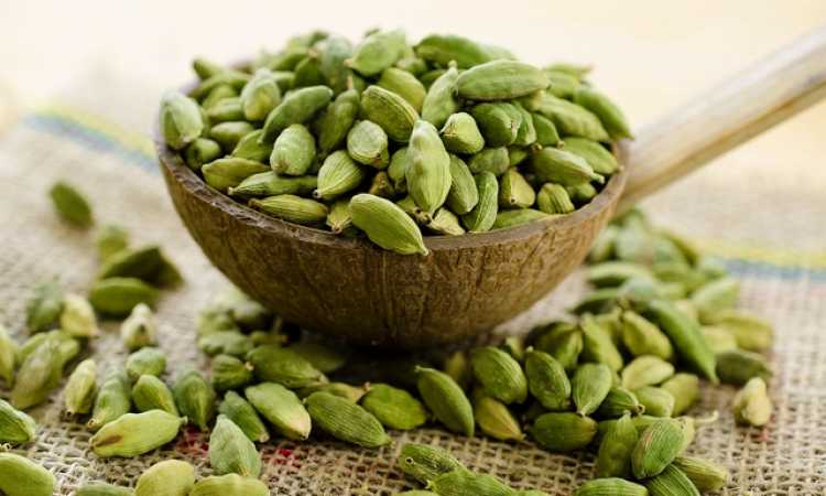 الحبهان