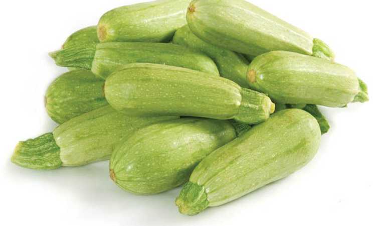 الكوسة