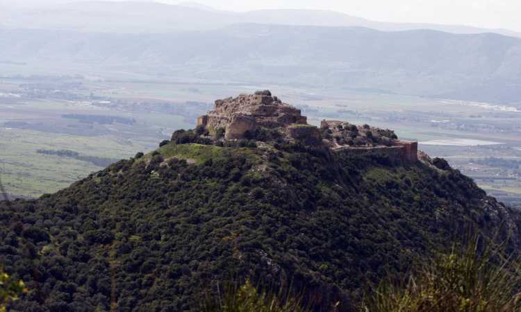 الجولان