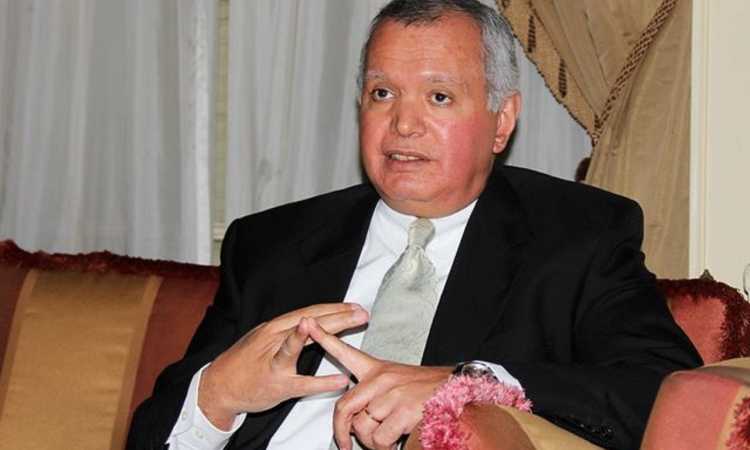 السفير محمد العرابى