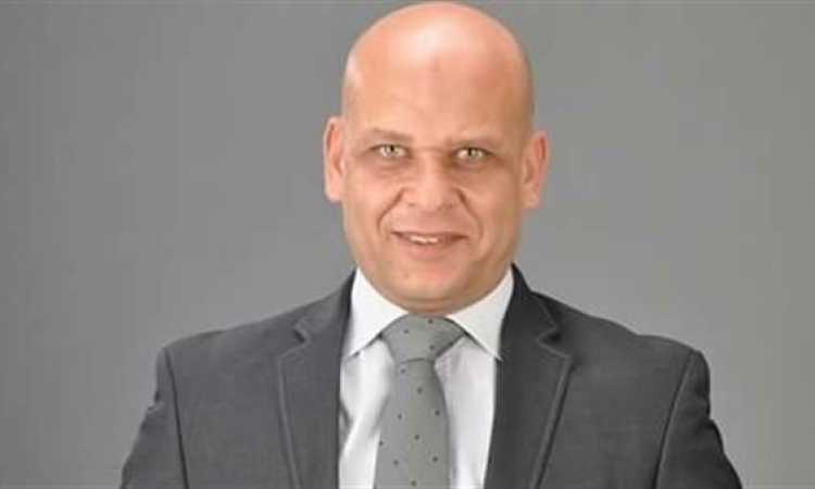 محمد هانى الحناوى