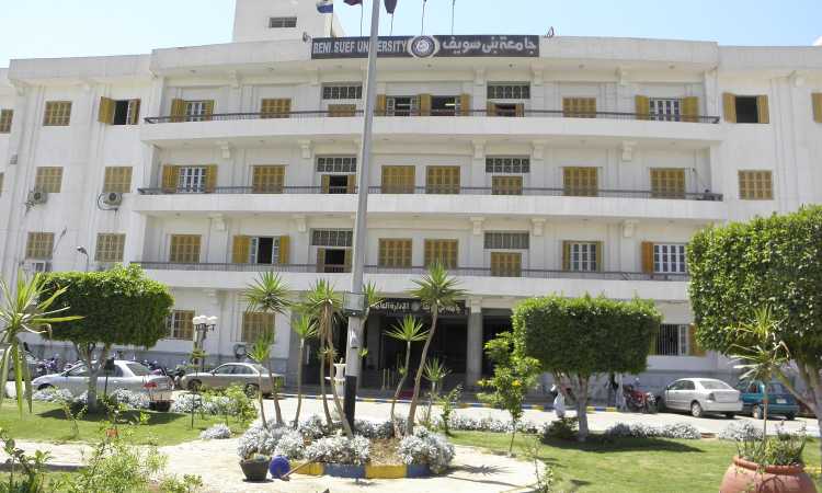 جامعة بنى سويف