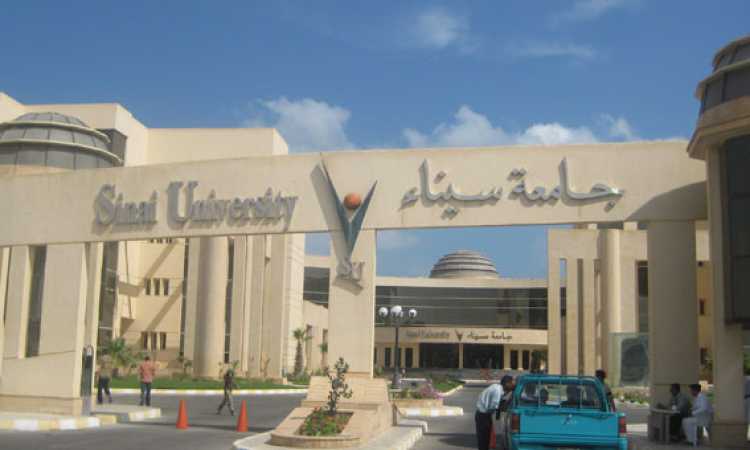 جامعة سيناء