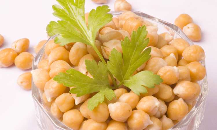 الحمص