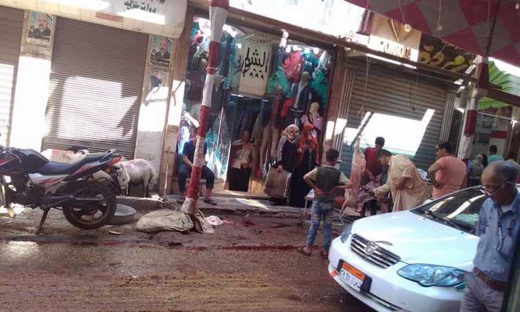 دماء الذبائح