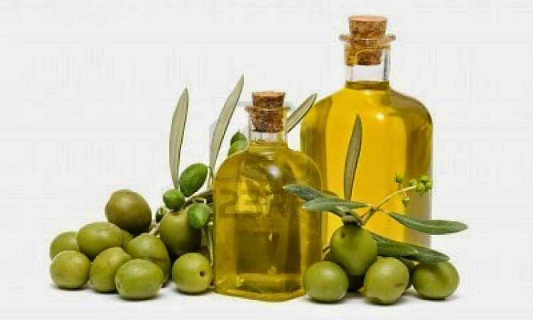 زيت الزيتون - أرشيغفية