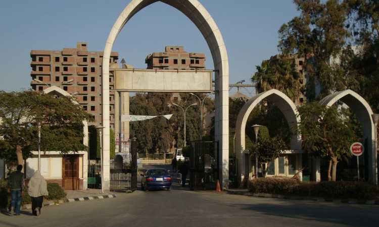 جامعة المنيا