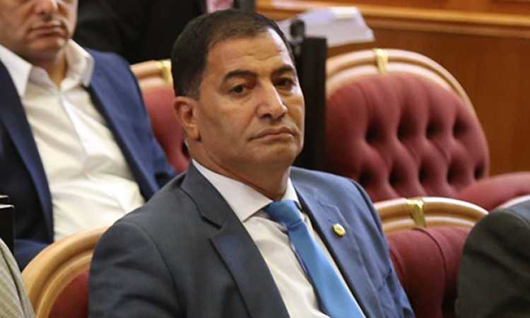 النائب البدرى أحمد ضيف