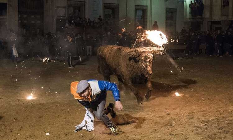 مهرجان الثيران فى ميديناسيلى الإسبانية‎