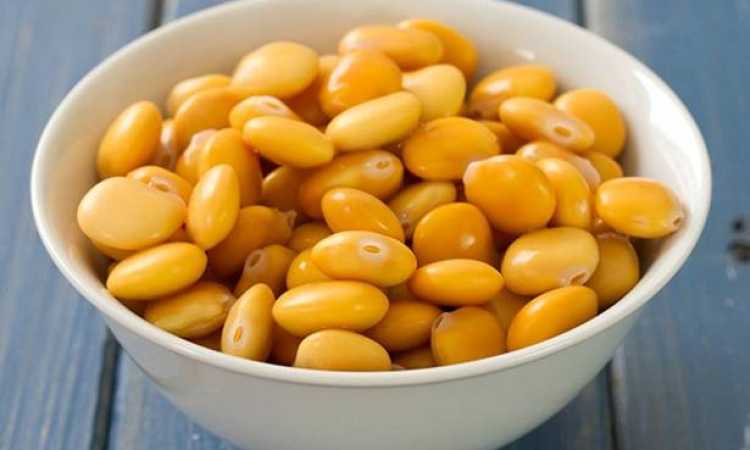 الترمس