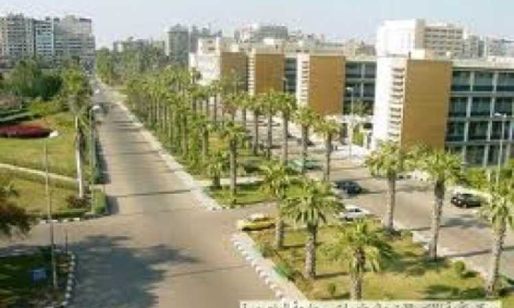 جامعة المنصورة - أرشيفية 