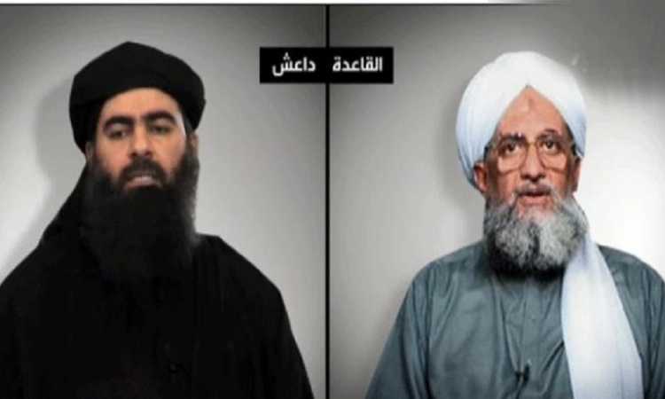 أيمن الظواهرى وأبو بكر البغدادى