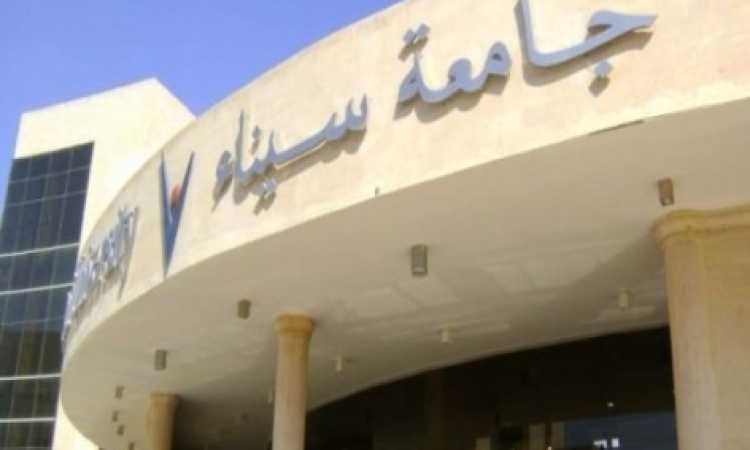 جامعة سيناء