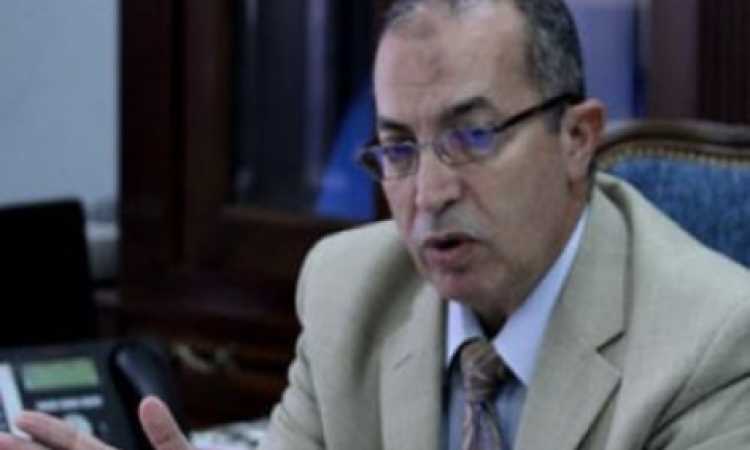 رئيس مصلحة الجمارك المصرية، د. مجدى عبد العزيز